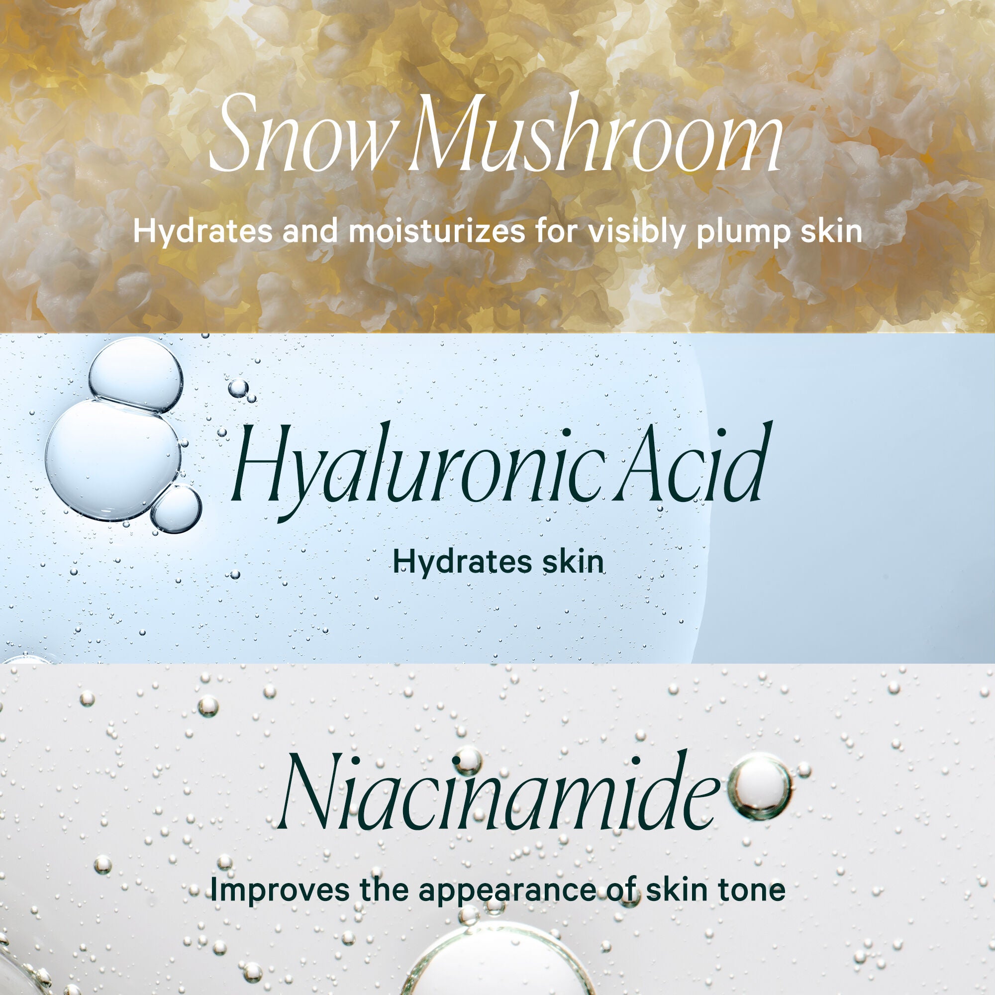 Fresh Dew Snow Mushroom Gel-Cream Moisturizer